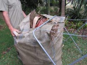 8_garden_bag_the_rubbish_removers_collection