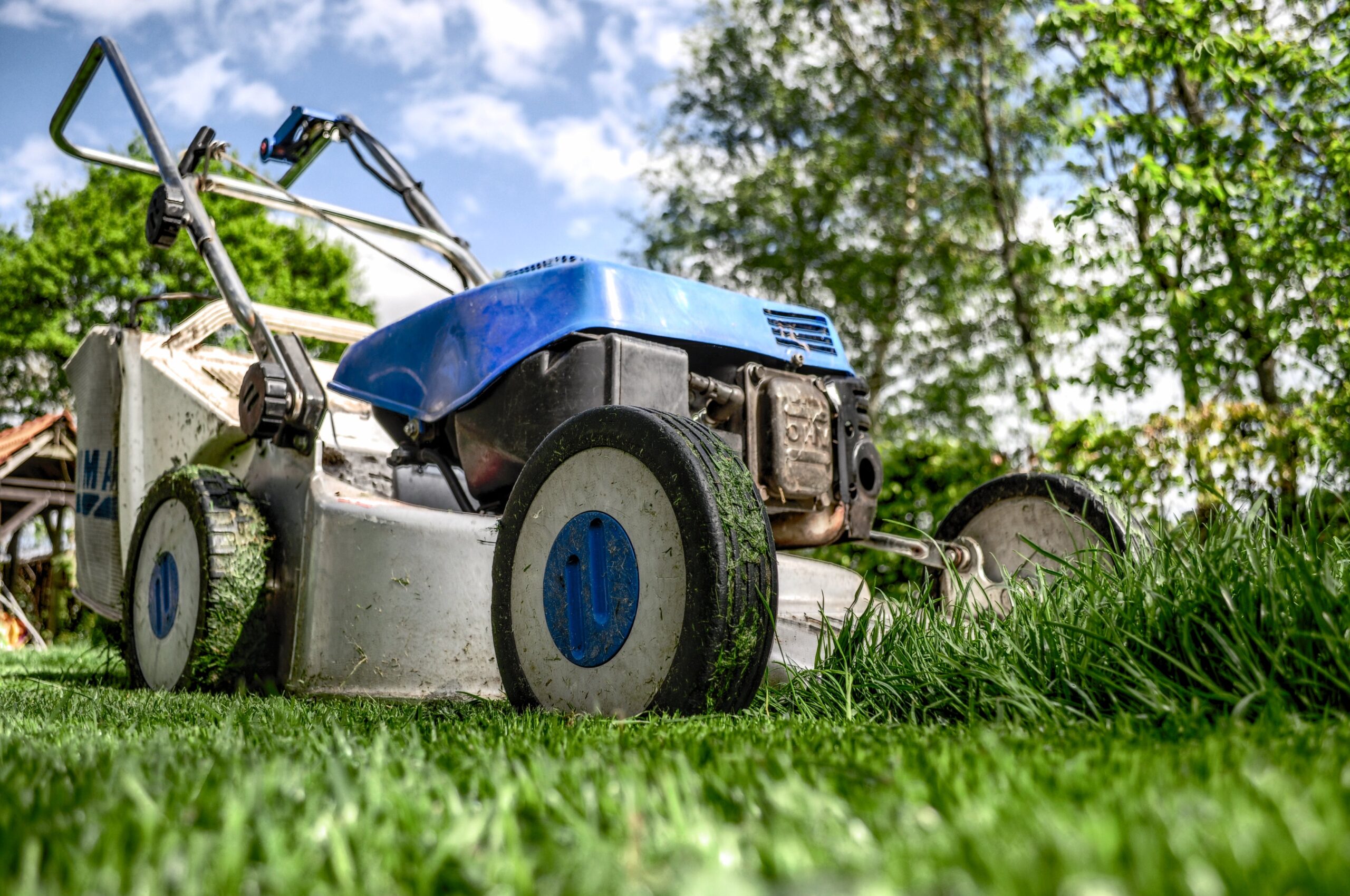 A garden lawnmower mowing grass clippings.